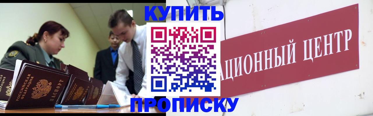 прописка поиск в Тайшете